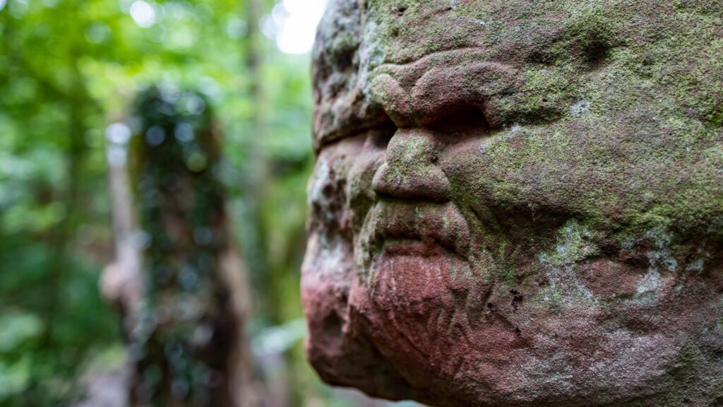 Ukázka z knihy Dějiny pohanské Evropy