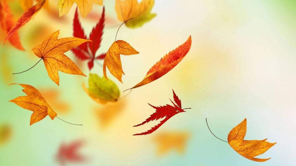 Jak pracovat s emocemi s využitím poznatků buddhismu a západní psychologie