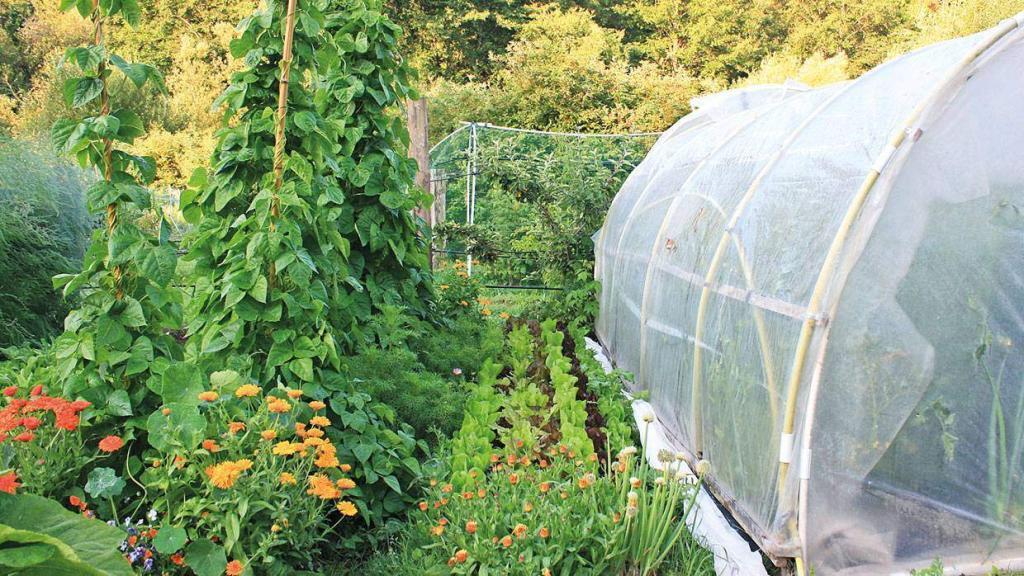 Pro domov, komunitu i celou Zemi