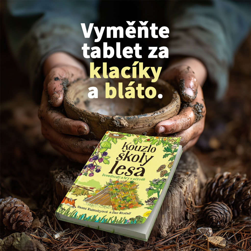Škola lesa