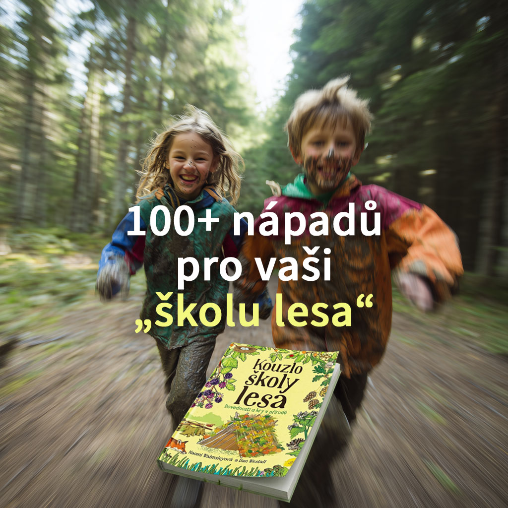Škola lesa