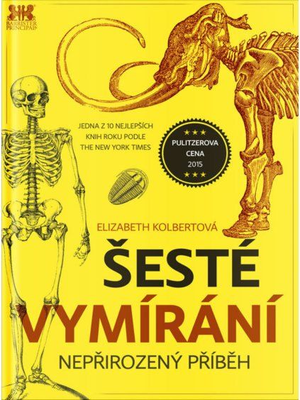 Colbertova mockup e1768587295465