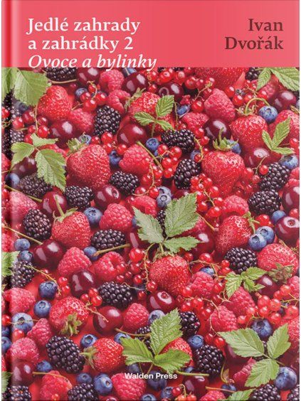 Jedle zahrady 2 e1768591060756