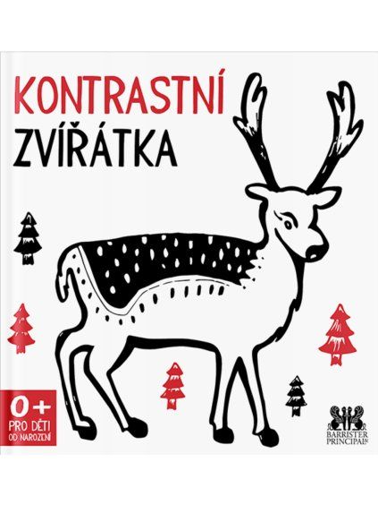 ob mockup e1768586930111