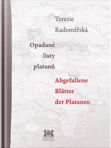 384 kopie e1768592243966