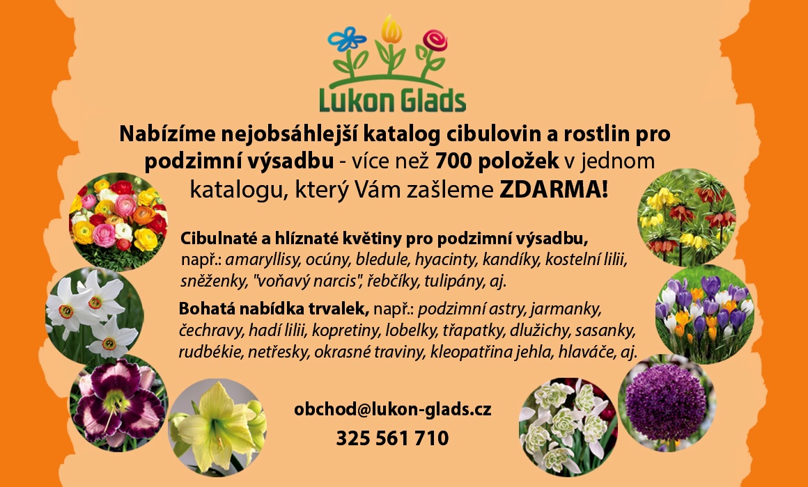 Inzerát podzim 2025