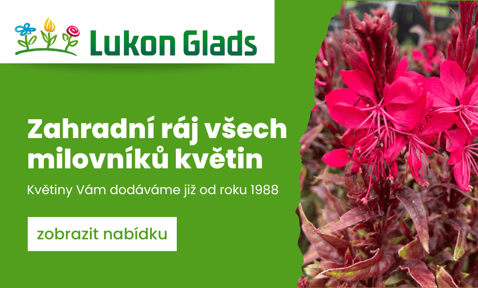 Uvítání na e-shopu Lukon Glads