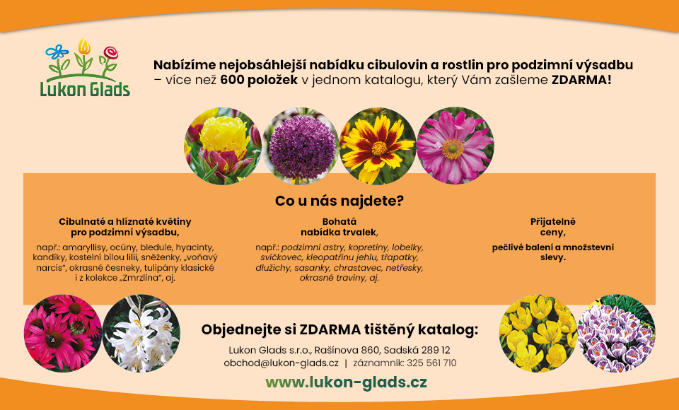 Inzerát podzim 2026