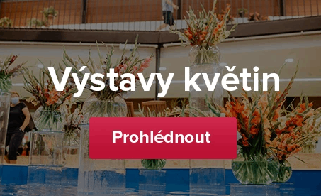 Příští výstava