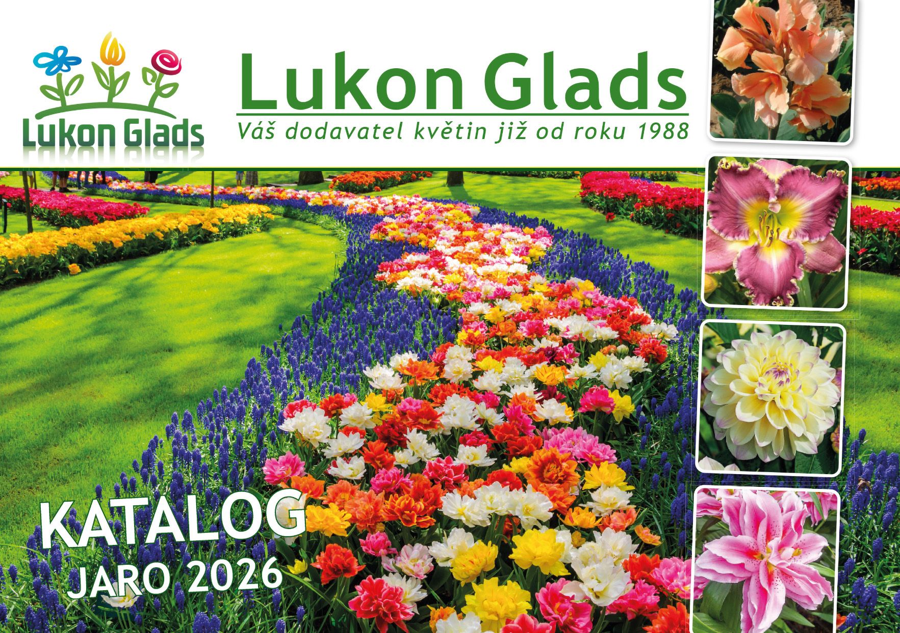 Katalog Lukon Glads