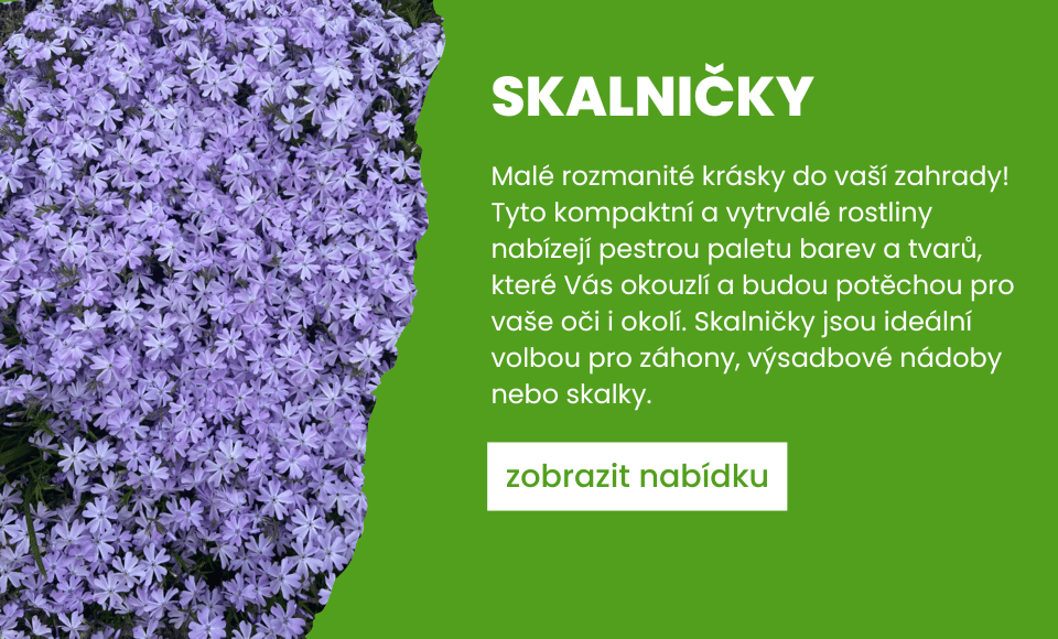 Skalničky