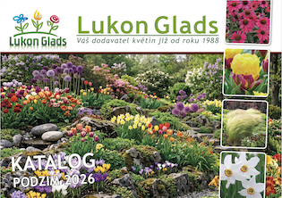 Katalog Lukon Glads