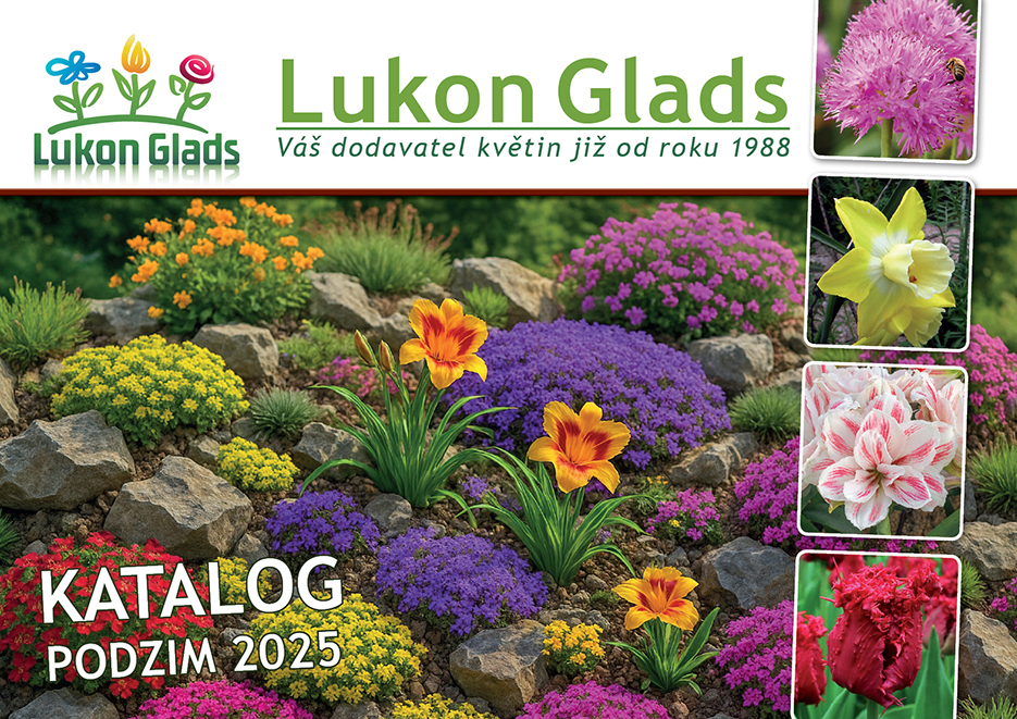 Katalog Lukon Glads