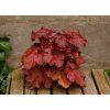 fire alarm heuchera 73795 2