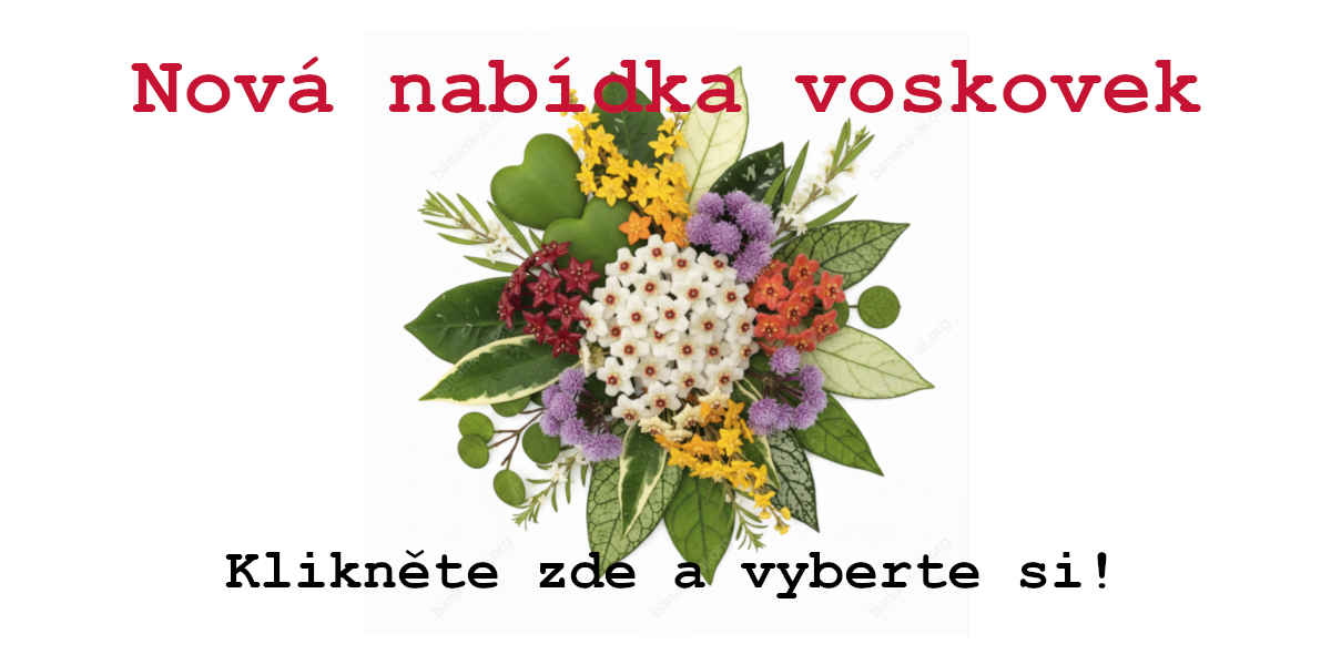 Nové voskovky v nabídce