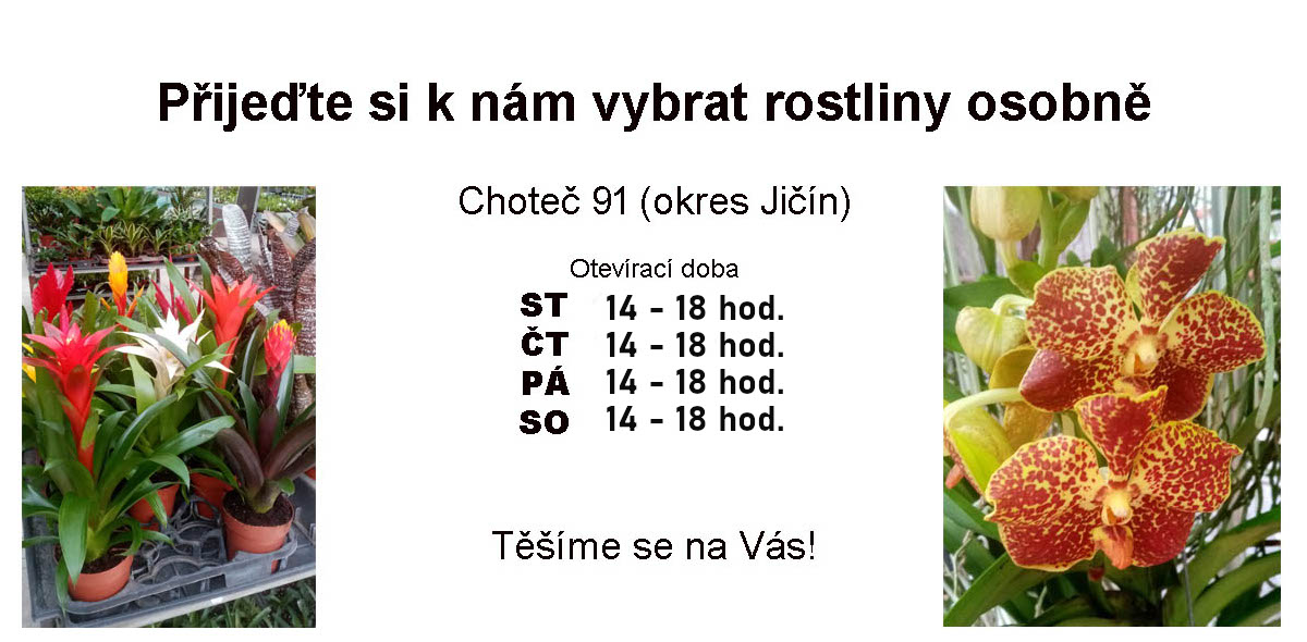 Otevírací doba prodejny Choteč