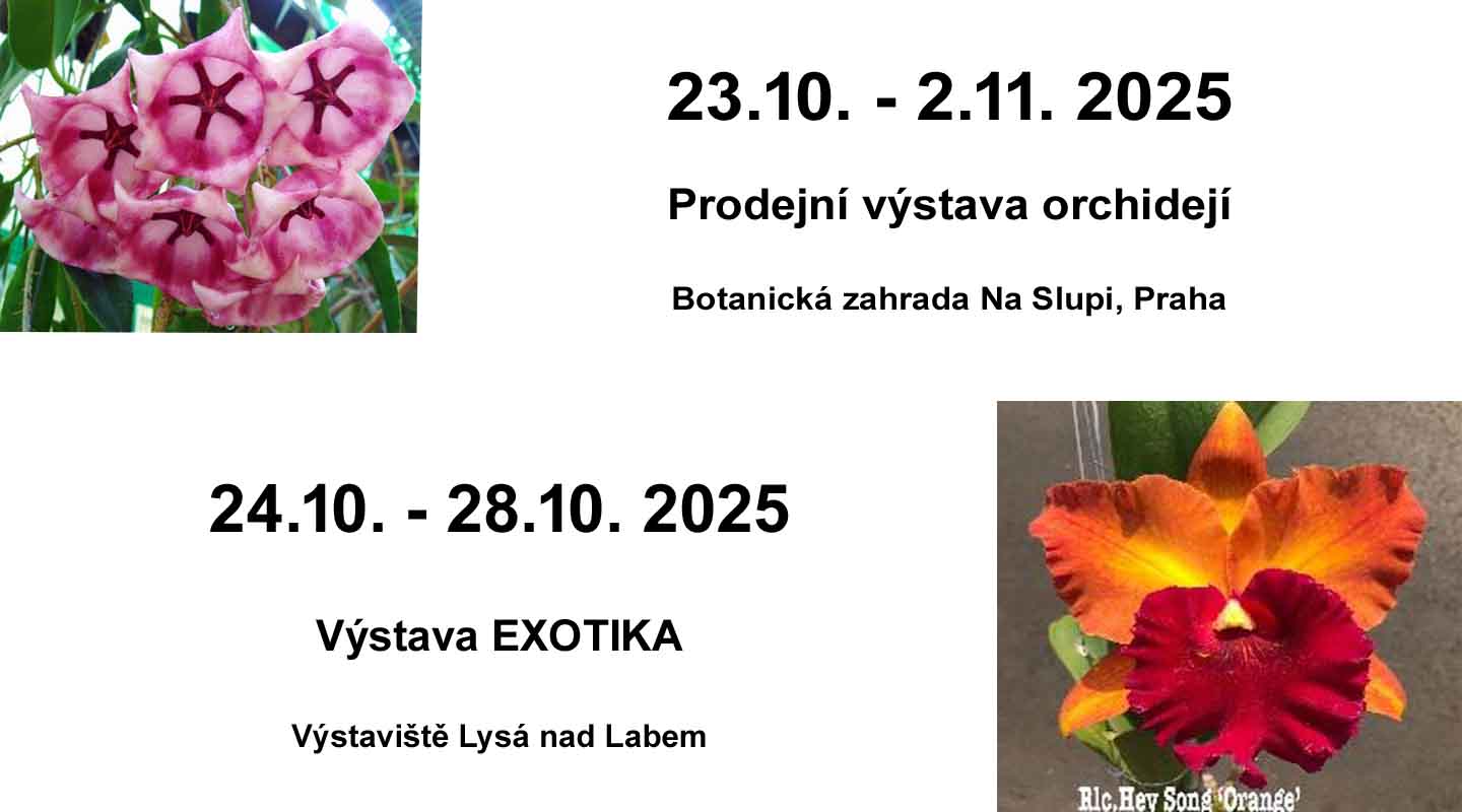 Pozvánka na výstavy