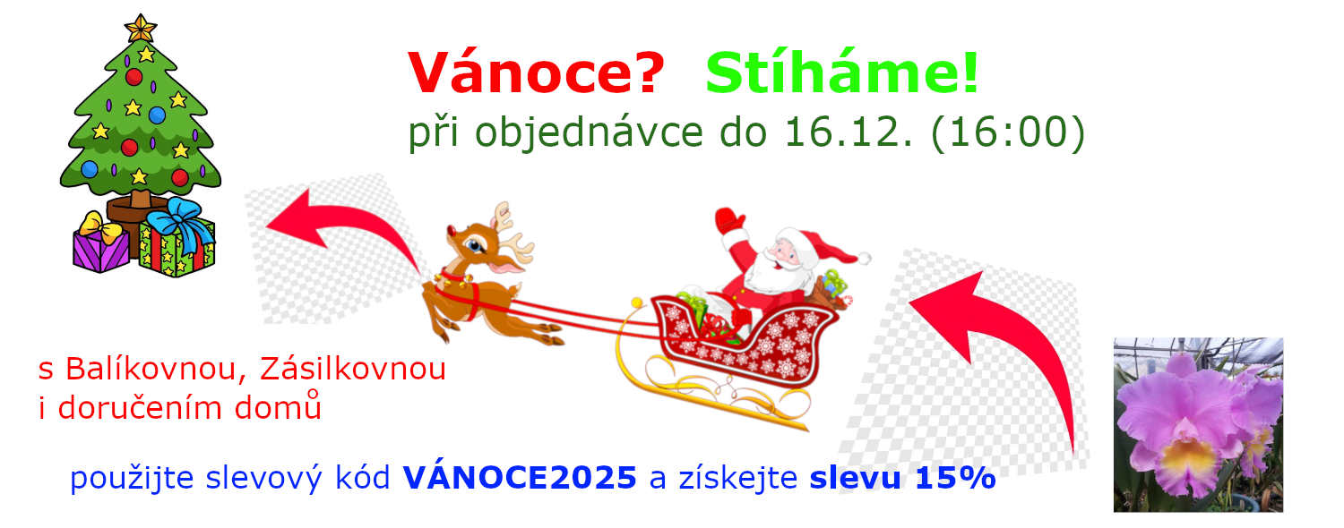 Termíny - Vánoce 2025