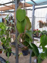 IMG_20230818_131719