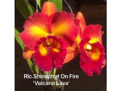 Rlc ShinaphatOnFireVolcanoLava