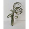 Tillandsia intermedia