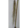 Tillandsia usneoides #2 (100-110cm)