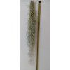 Tillandsia usneoides #3 (80cm)