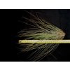Tillandsia festucoides