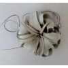 Tillandsia xerographica (střední)