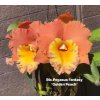 Rlc PegasusFantasy GlodenPeach