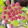 Hoya burtoniae (ST)