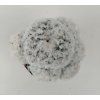Mammillaria plumosa