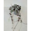 Ceropegia woodii