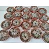 Lithops spec. (mix)