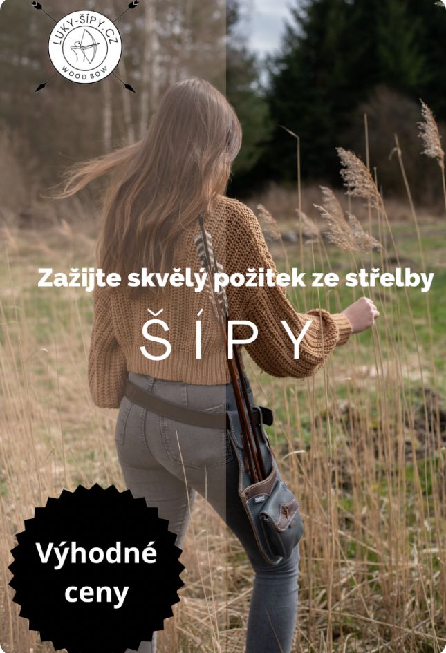Šípy