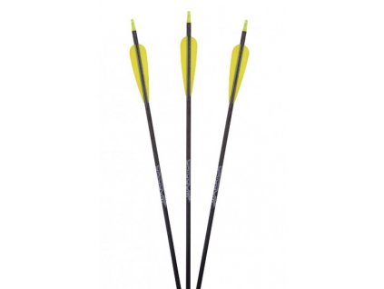 Karbonový šíp Warrior - STANDARD