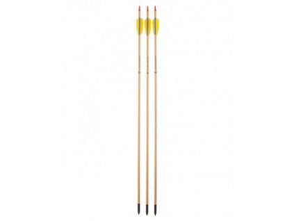 Šíp dřevěný EK Archery- přírodní letky