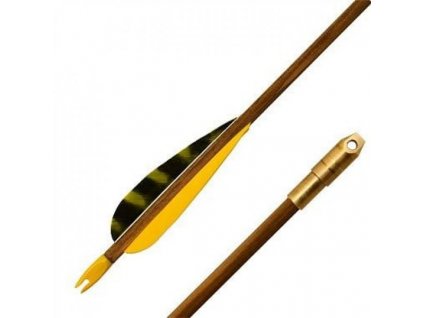 Šíp s pískacím hrotem