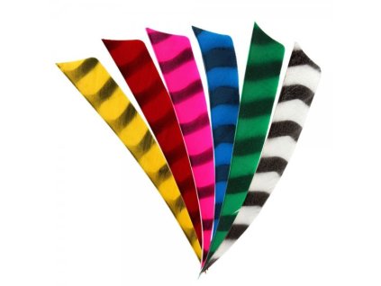 Peruť - 4" Shield - barred