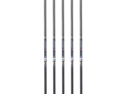 Gold Tip Ultralight Entrada