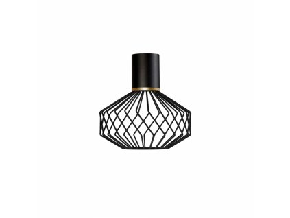 CAMELEON PICO A BL/G 8591 | tienidlo z lakovanej ocele