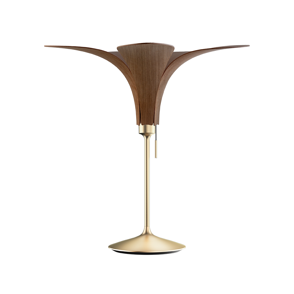 JAZZ | dizajnové drevené svietidlo Farba: Tmavý dub, Sada: Tienidlo + Champagne table mosadzný