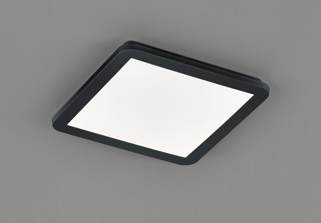 CAMILLUS SQ 30 | Stropné LED svietidlo s postupným stmievačom Farba: Čierna