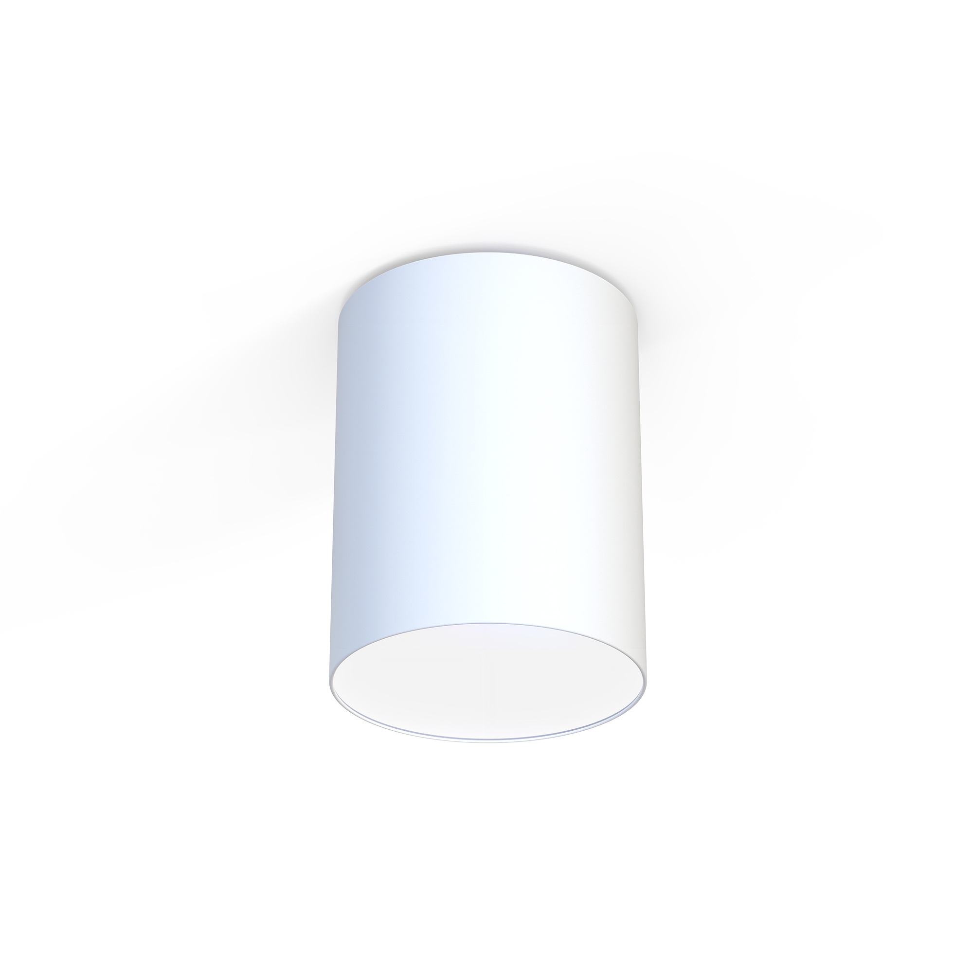 CAMERON WHITE I 9685 | prisadená stropná lampa ø=30 cm