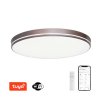 AREAS 40 | IMMAX NEO | smart LED stropné svietidlo | 07150-C40