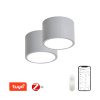 IMMAX | 07143-GR15BD | RONDATE SADA | Sivé smart LED stropné svietidlo