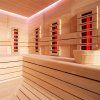 Sauna Helios Infra kombi E1613C-IR jedle kanadská