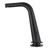 Badewannenarmatur DV 910268 schwarz matt