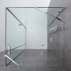 Frameless shower enclosure LAS 1200