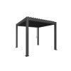 9003414922167 Pergola 3x3 dunkelgrau Rendering
